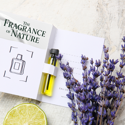 Fragrance of Nature Lavender Reed Diffuser