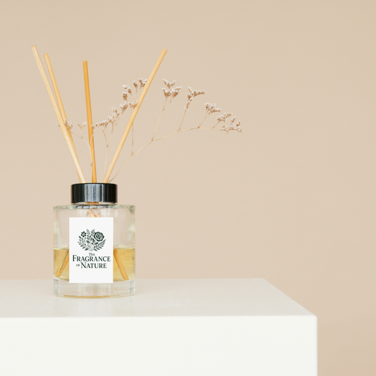 Fragrance of Nature Sweet Cocoa Embrace Reed Diffuser